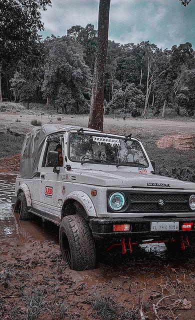 稳定的控场 稳定的控场