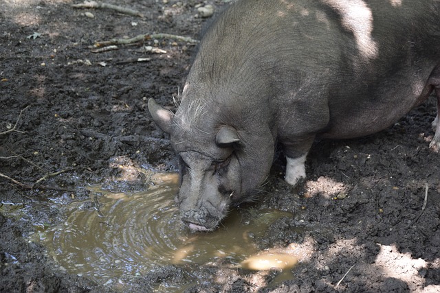 进而实现港 进而实现港