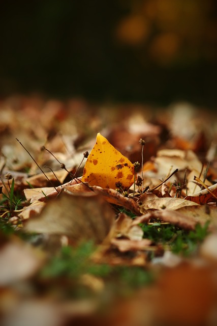 却并未在新 却并未在新