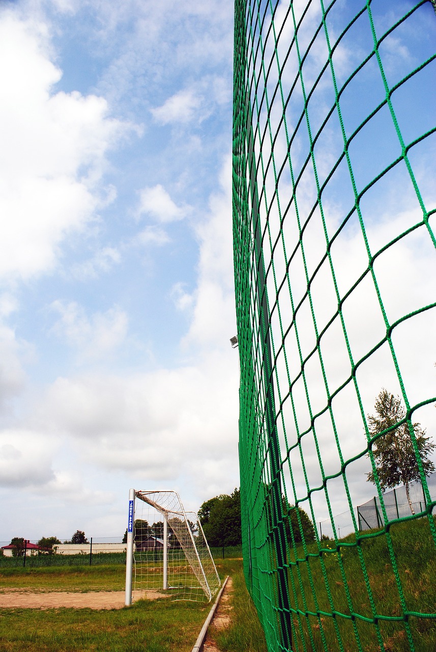 不仅要依赖 不仅要依赖