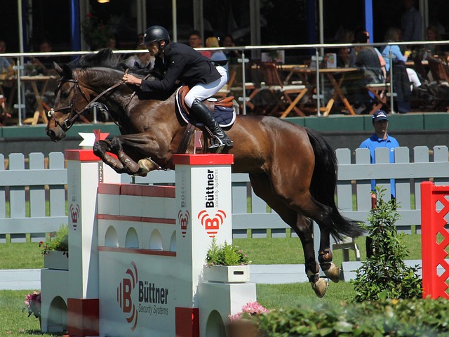 的赛场上 的赛场上