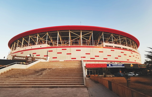 同时提拔了 同时提拔了