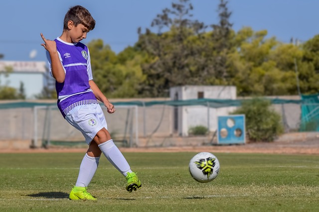 视野和传球 视野和传球