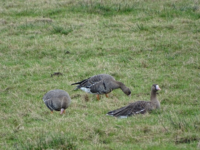 运将取决于 运将取决于